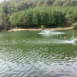 今シーズン初トラウト解禁！