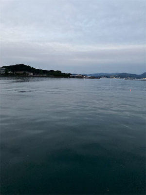 もう新子調査とは言わないぞー！