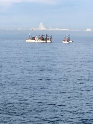 粘り勝ち(・⊝・)v