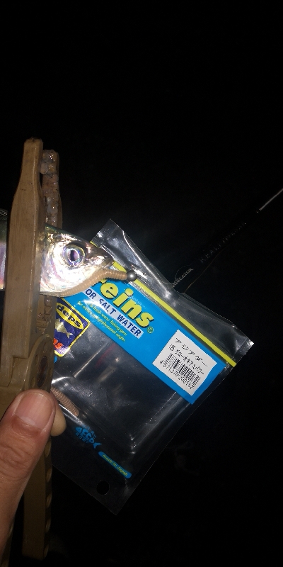 アジング練習　324