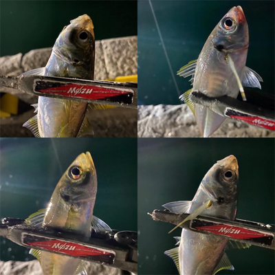 遠投からの落パク