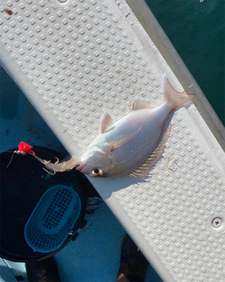 関門一つテンヤ