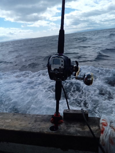 あと7cmでドラゴン級