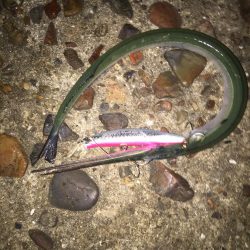 リベンジショアジギング