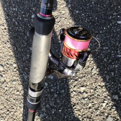 朝マズメの太刀魚釣りで二桁達成