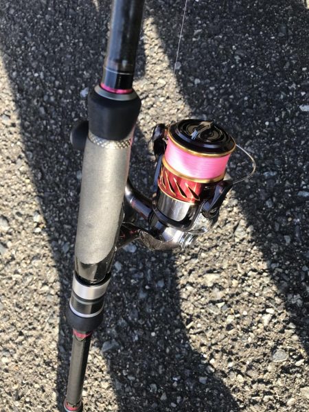 朝マズメの太刀魚釣りで二桁達成