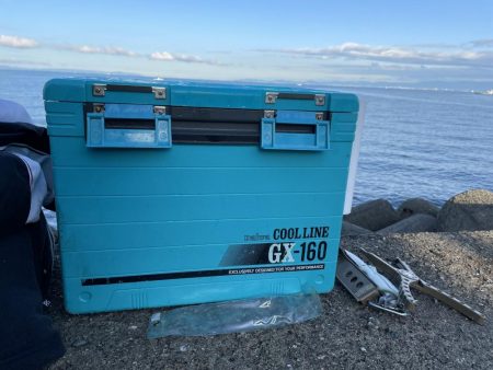 帰省中釣果‼️