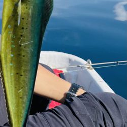 レンタルボートでタイラバ 、ジギング