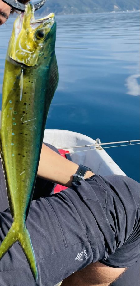 レンタルボートでタイラバ 、ジギング