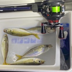 久しぶりの淡路島釣行