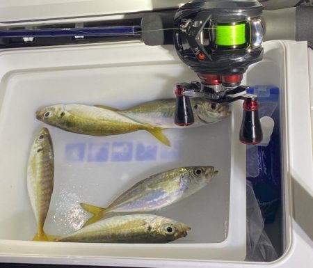 久しぶりの淡路島釣行