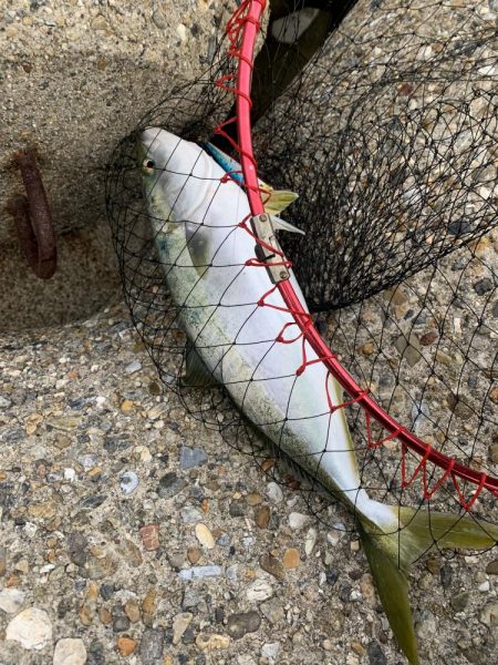 ガハハハハ　ツバス大