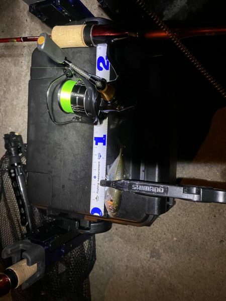 夜中は明暗にしかアジはおらん