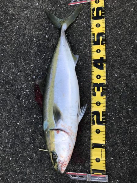 ど干潮潮止まり