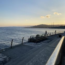 まさか翼港でガシラが釣れるとは…