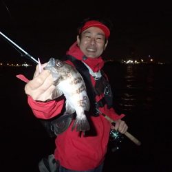 今週も関電波止へ！