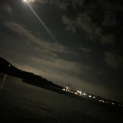 淡路島釣行 エギング釣行 秋イカ390g GET!