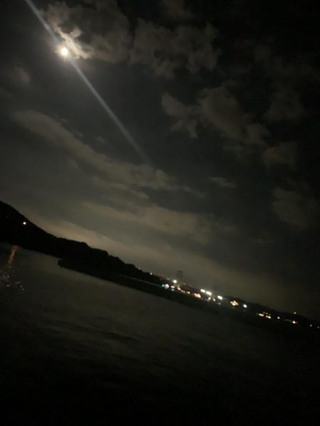 淡路島釣行 エギング釣行 秋イカ390g GET!