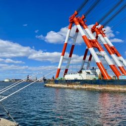 カレイ サイズUP v(^_^o)