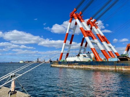 カレイ サイズUP v(^_^o)