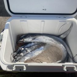 後半は当たりが小さく渋かった!