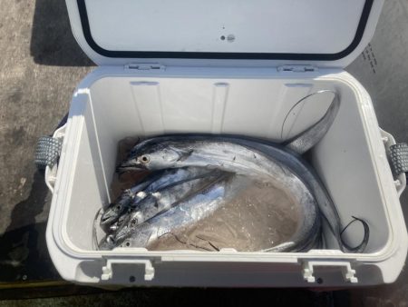 後半は当たりが小さく渋かった!