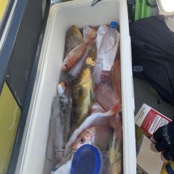 マイボートでアマダイ狙い！