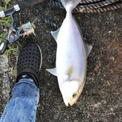 ショアジギング