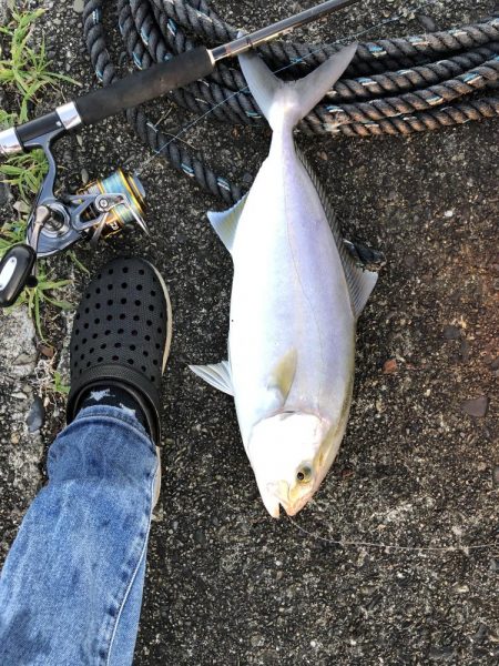 ショアジギング