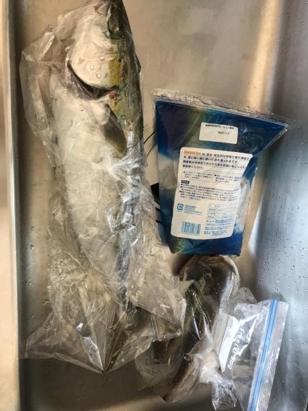 泉佐野でハマチ大(ほぼメジロ)