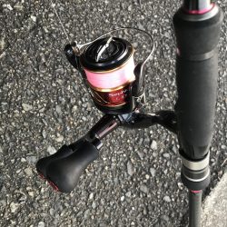 朝マズメの太刀魚釣り