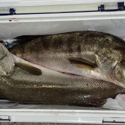 釣れてくれてありがとう