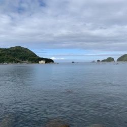 イカ狙いのはずが…