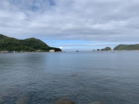 イカ狙いのはずが…