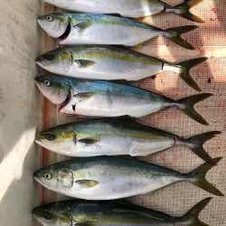 明石沖にてライトジギング