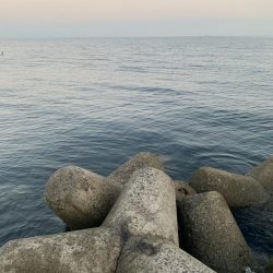 エギング初釣果