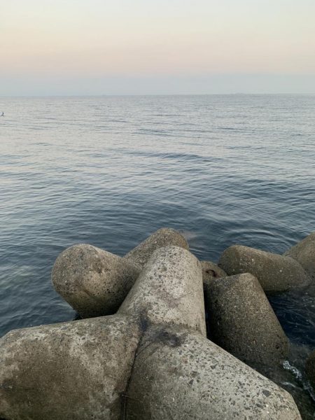 エギング初釣果