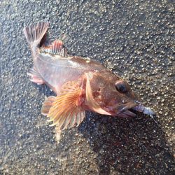 大切なポイント選び！