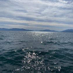 今シーズン最高