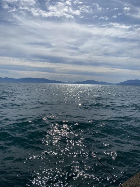 今シーズン最高