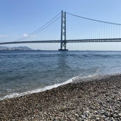 初エギング！昼間に釣り上げた。