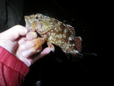 雨が降る前にライトゲーム