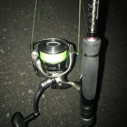 朝マズメのタチウオ 釣り