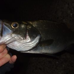 強風と寒さに耐えて