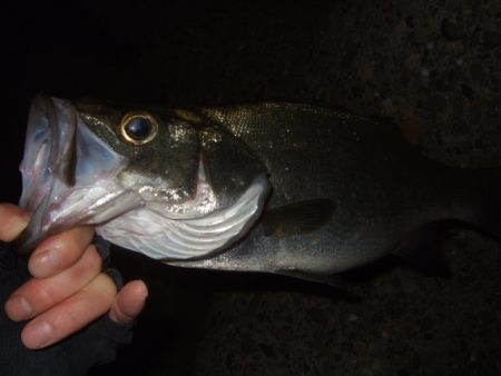 強風と寒さに耐えて