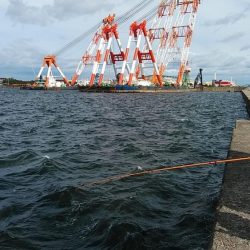 強風の播磨新島釣行