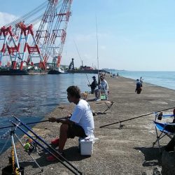 朝の時合いに釣行出来ました