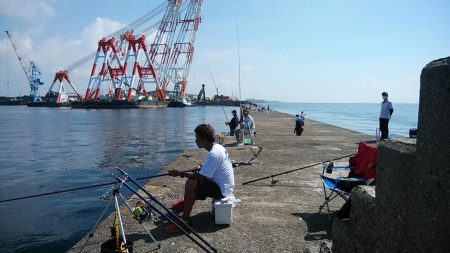 朝の時合いに釣行出来ました