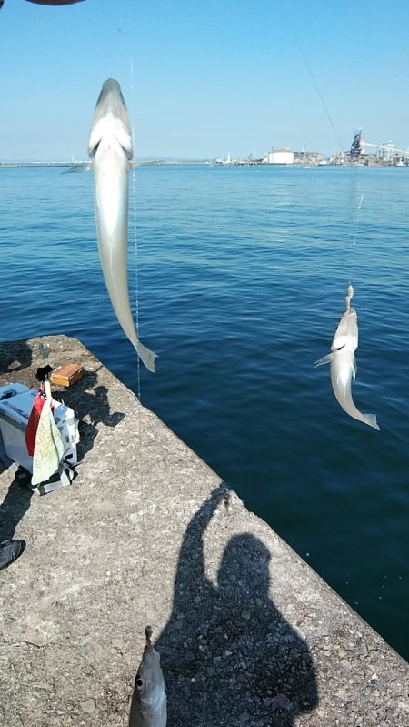 早朝から出撃しました