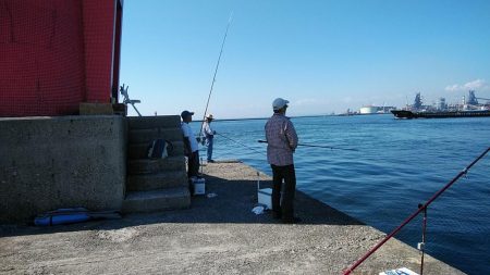 良型キスが釣れ始めました